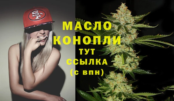 винт Няндома